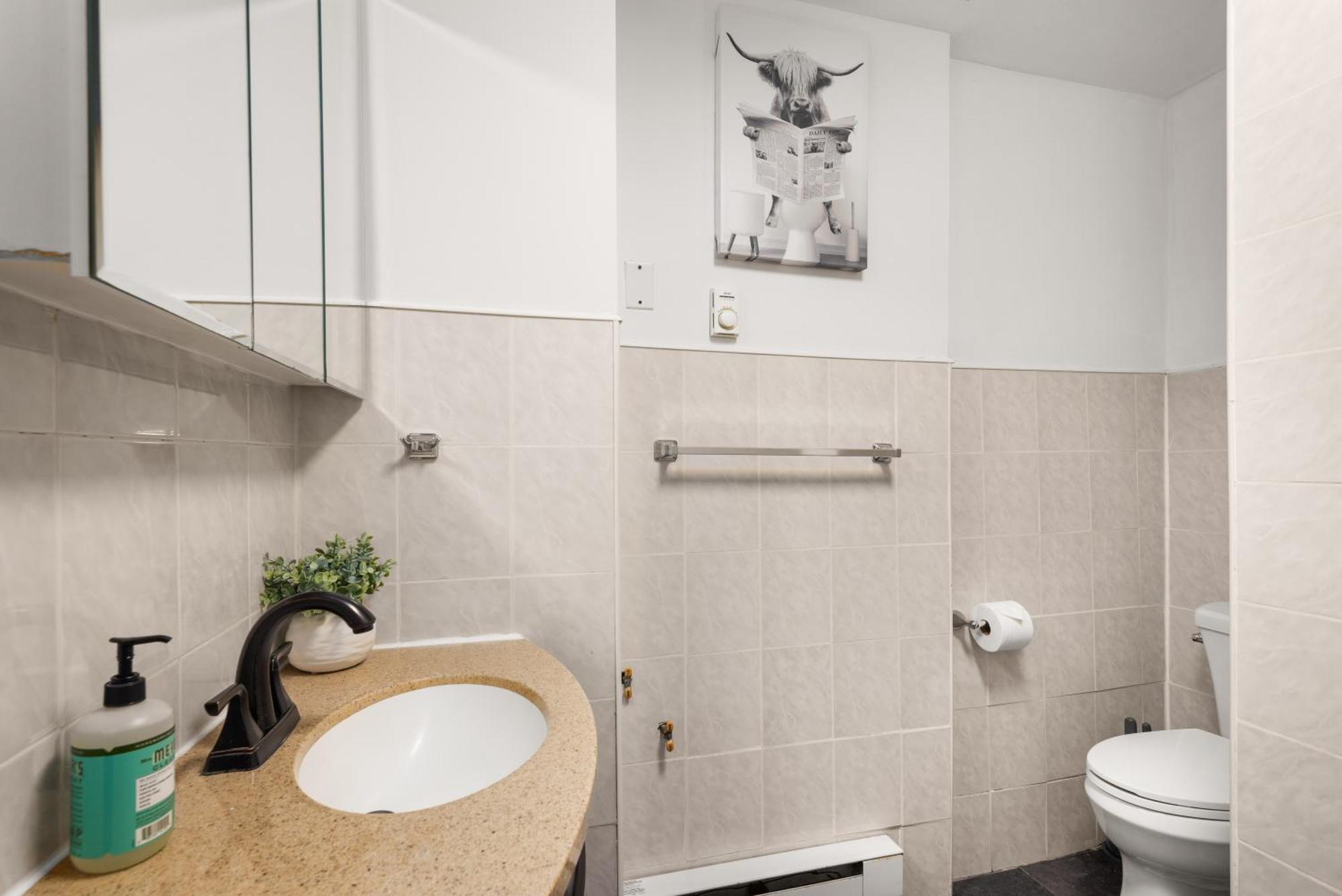 Stylish And Spacious 3 Bdr Unit In Dumbo Nyc Appartement